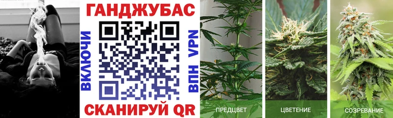 Купить закладку Alpha-PVP  Бошки Шишки  МЕФ  ГАШИШ  Амфетамин  Кетамин  Кокаин  Жиздра