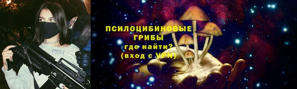 крисы Дмитровск