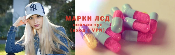 стафф Ельня