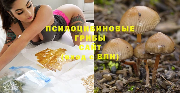 кокаин перу Дмитров