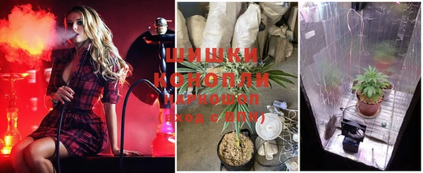 MESCALINE Дмитриев