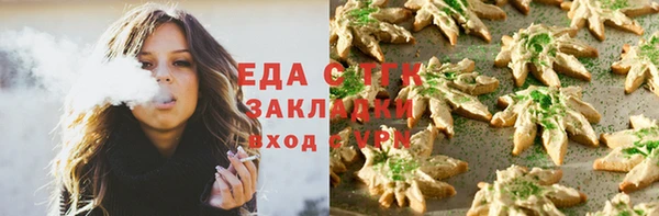 стафф Ельня