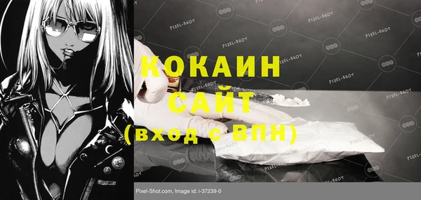 стафф Ельня